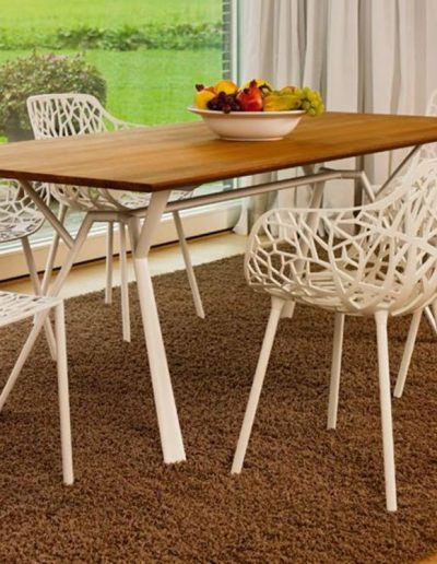 Fast Radice Quadra Tisch, Forest Sessel