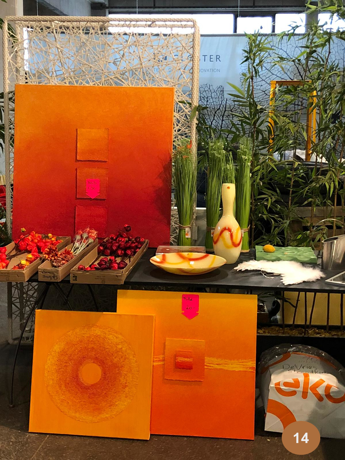 eko-lifestyle letzte Chance Bild 14